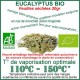 Eucalyptus Bio feuilles séchées 20gr 