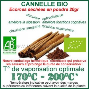 Cannelle Bio écorces en poudre sachet de 20gr