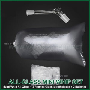 All-Glass Mini Whip Set - Set connexion ballon verre Extreme Q