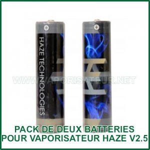Deux batteries rechargeables internes pour vapo Haze V2.5