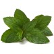 Menthe Verte (Menthe Nanah) Bio feuilles séchées 30gr