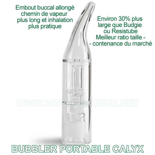 Calyx - petit bubbler portable pour vaporisateur de poche