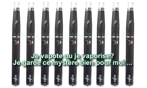 Vapo pen pour huiles et concentrés Dabstorm disponible en France