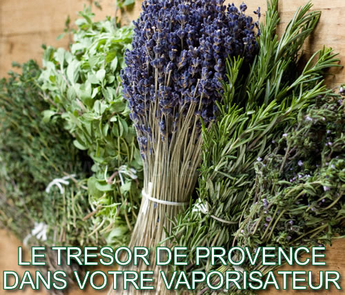 Mélange des plantes médicinales bio séchées - Herbes de Provence AB organique