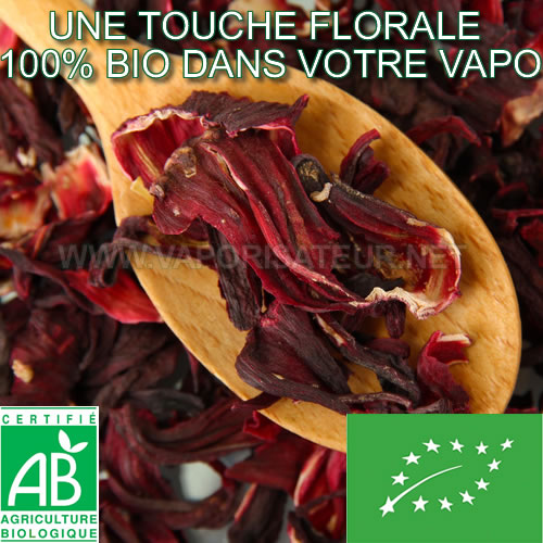 Fleurs d'Hibiscus Bio certifiées issues d'agriculture organique à vaporiser
