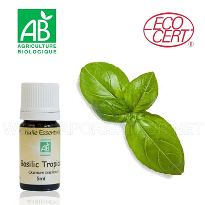 Basilic tropical huile essentielle biologique certifiée ECOCERT