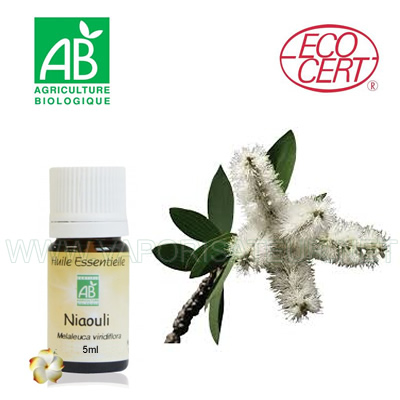 Huile essentielle biologique de Niaouli certifiée ECOCERT