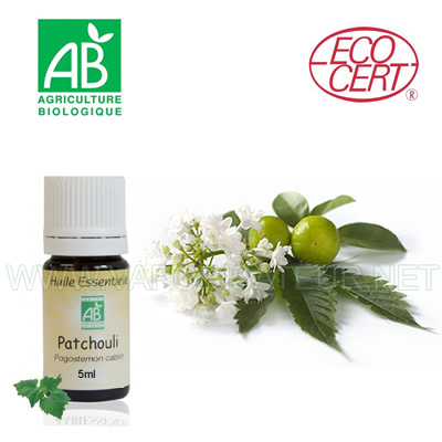 Huile essentielle bio Ecocert de Patchouli