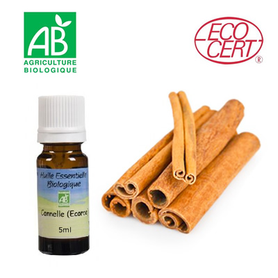 Huile essentielle de Cannelle Bio en vaporisateur ou diffuseur