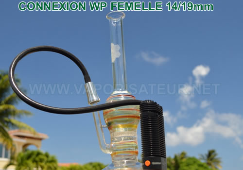 Connexion water pipe universelle 14mm-19mm pour vapos Crafty et Mighty NewVape