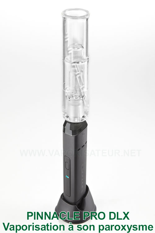 Pinnacle Pro DLX - vaporisateur et le mini bubbler