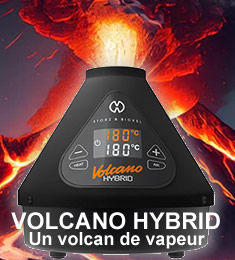 Volcano Hybrid vaporisateur 2 en 1 - ballon et tuyau